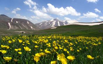 بهترین آژانس مسافرتی اردبیل